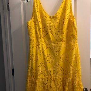 Eyelet Lace Cotton Plus Size Knee Length Dress